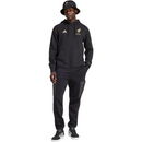 adidas Mexico Men's México de Oro DNA Hoodie