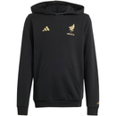 adidas Mexico Youth México de Oro DNA Hoodie