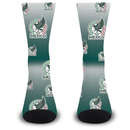 FBF Mexico Gradient FMF Sock Mexico Yout