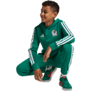 adidas Mexico Youth DNA Hoodie