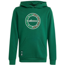adidas Mexico Youth Hoodie